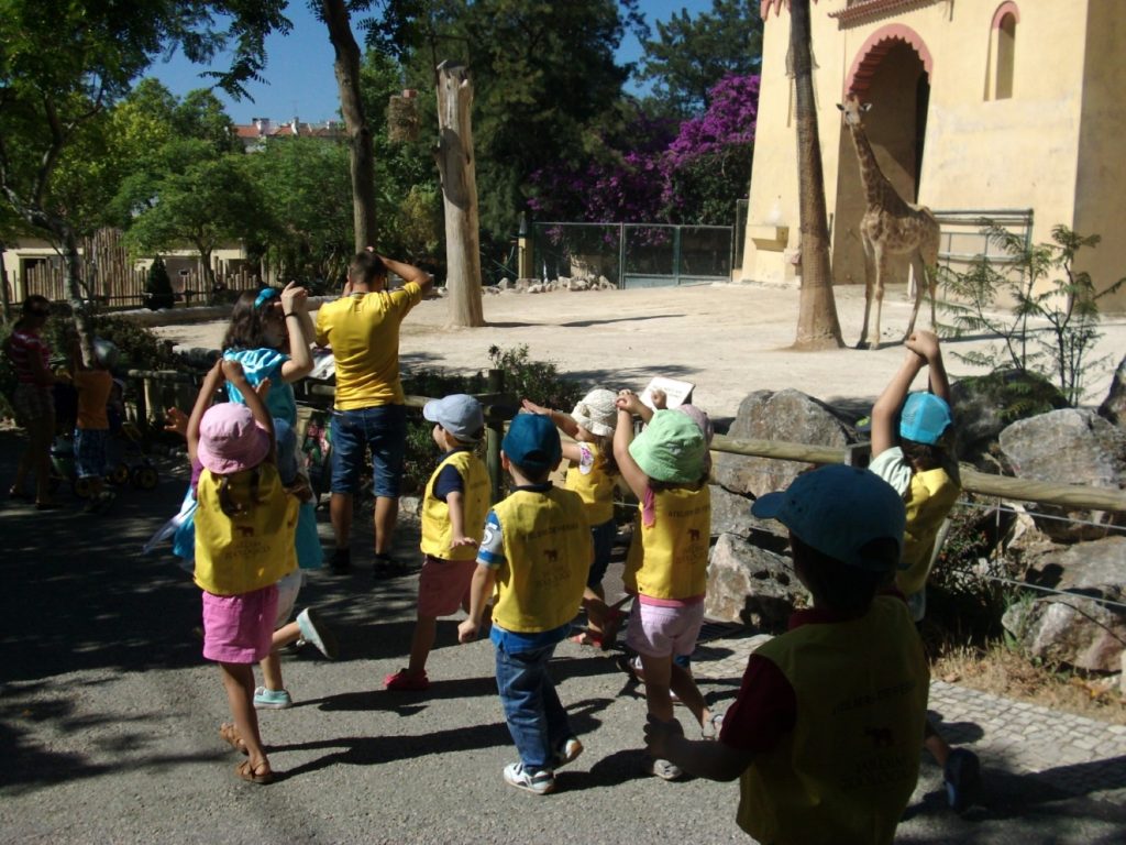 Campos de Férias do Zoo