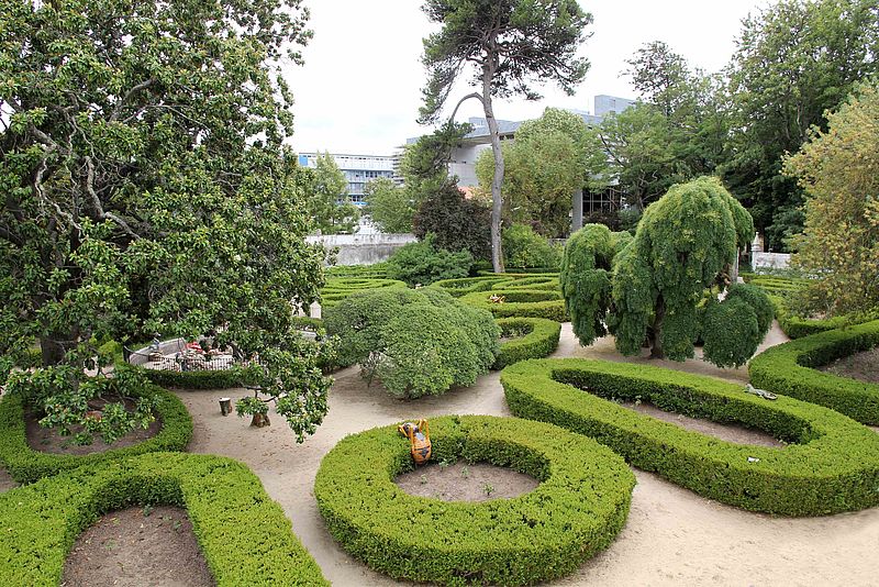 Jardins de buxo
