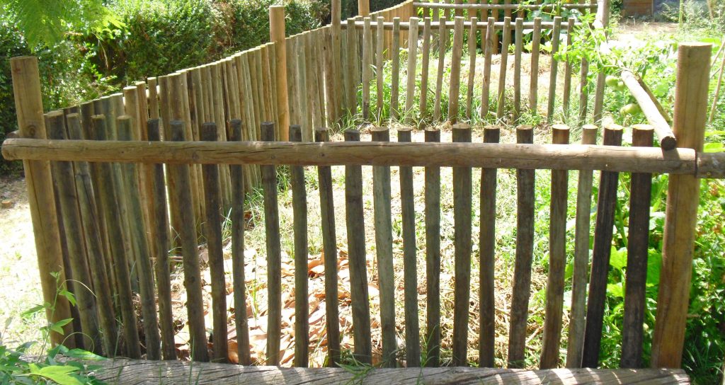 Workshop Gratuito de Compostagem