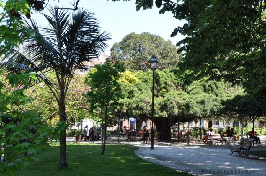 Ciência na Cidade