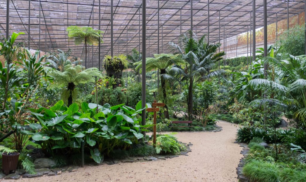 As Plantas da Estufa Fria comem-se?