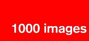 1000 Imagens: Uma Palavra Vale Mais que Mil Imagens