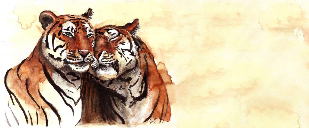 O Amor Chega ao Jardim Zoológico no Dia dos Namorados