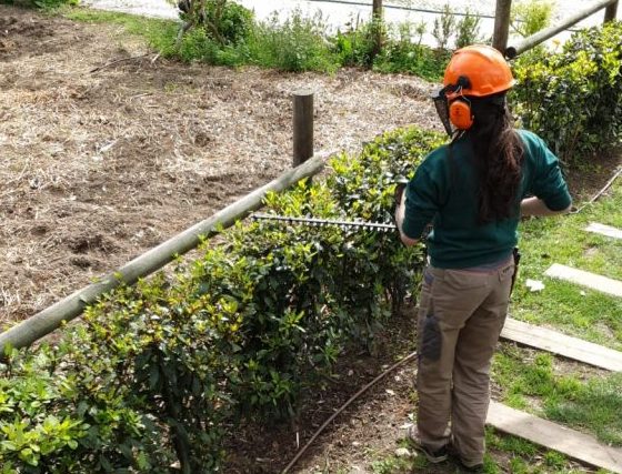 Curso de Utilização de Máquinas de Jardinagem