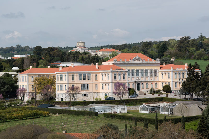 Ensino Superior em análise no ISA
