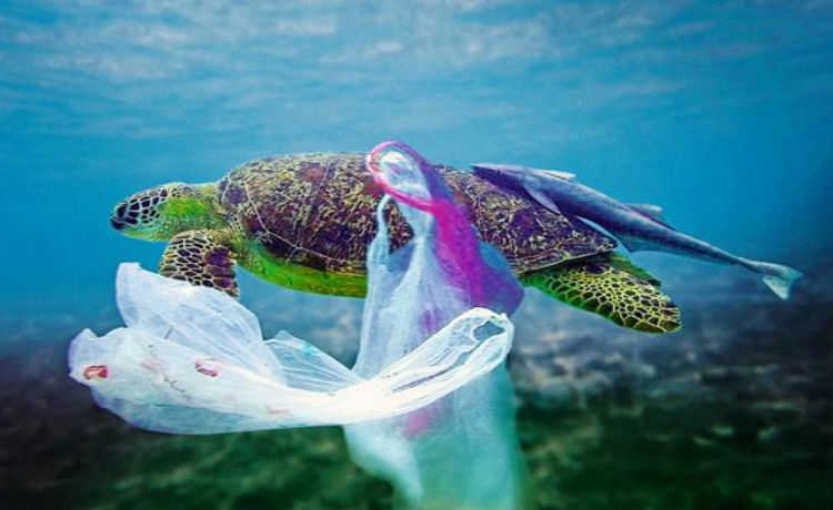 Ocean Plastics Lab