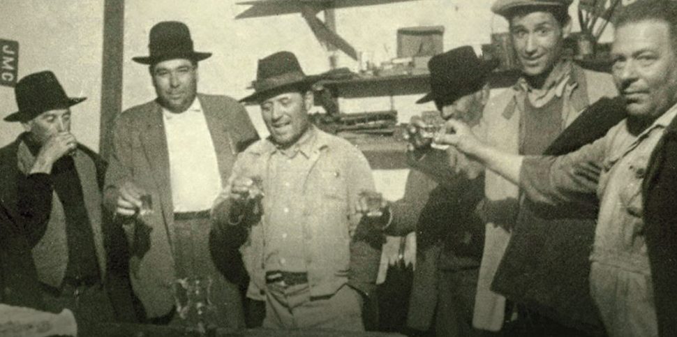 Vila Alva, Terras de Vinho