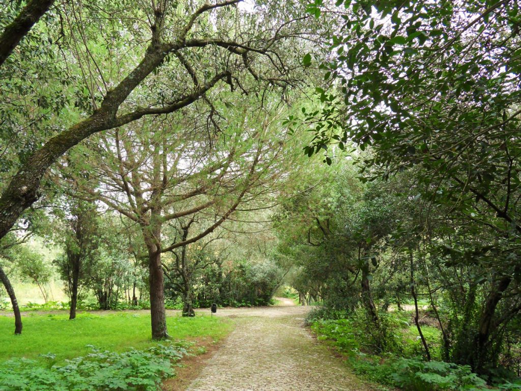 Passeio entre cheiros