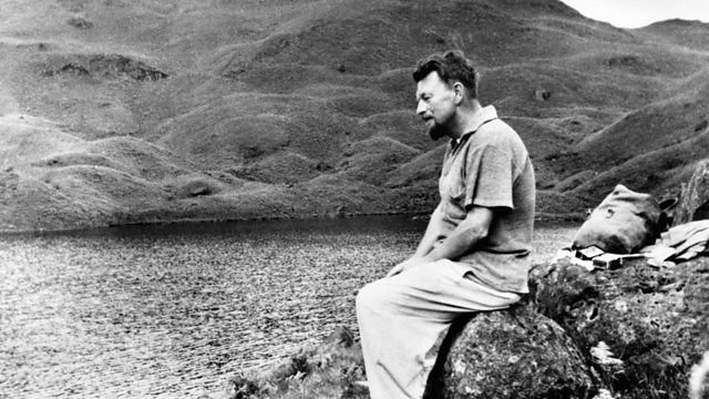 XIV Encontro Internacional Malcolm Lowry