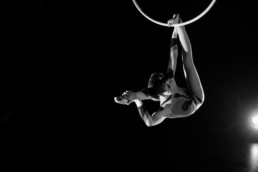 A arte do Novo Circo em novembro