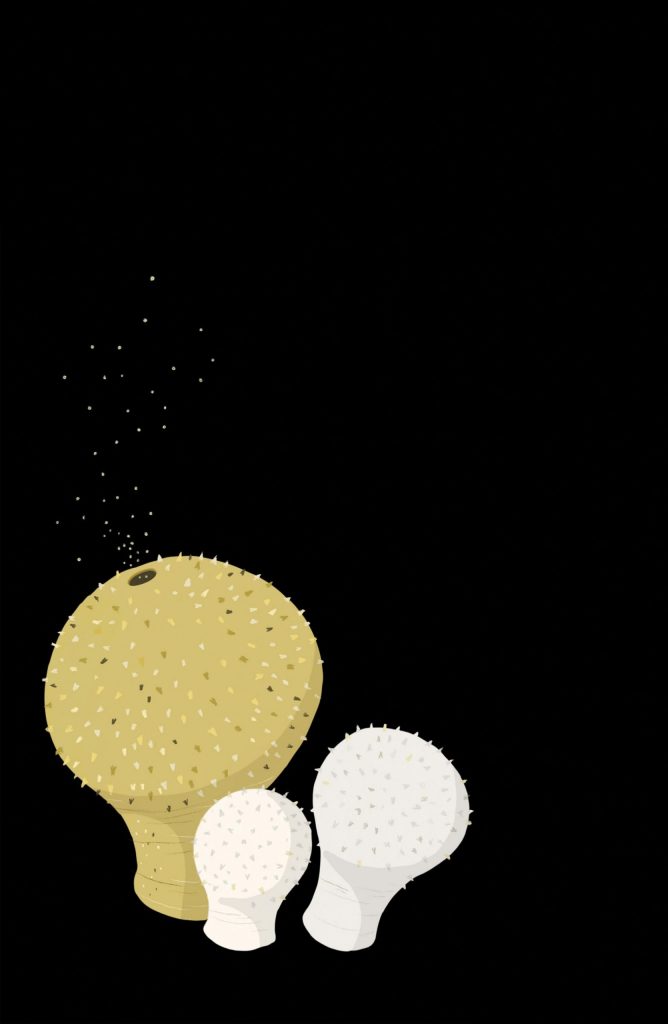 LYCOPERDON PERLATUM