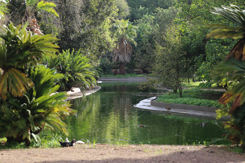 Reabertura do Jardim Botânico Tropical