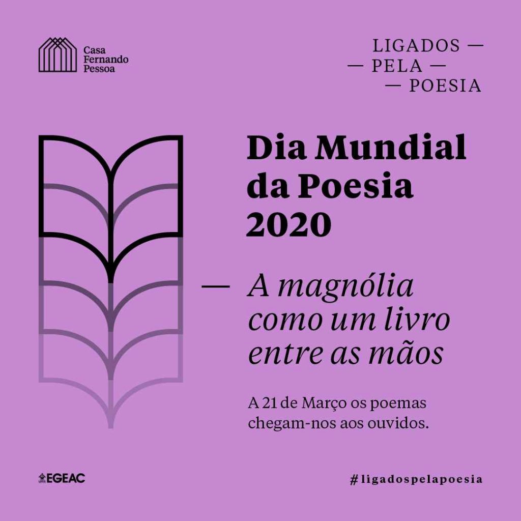 A magnólia como um livro entre as mãos