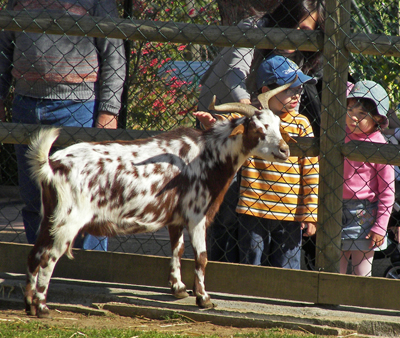 Quinta Pedagógica dos Olivais em março