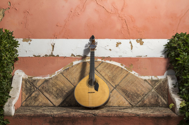 Noite de Fado