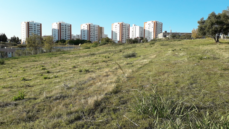 Justiça Ambiental em Tempos de Covid-19