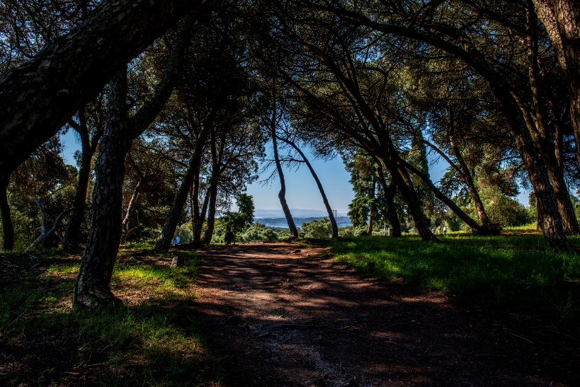 Parque Florestal de Monsanto