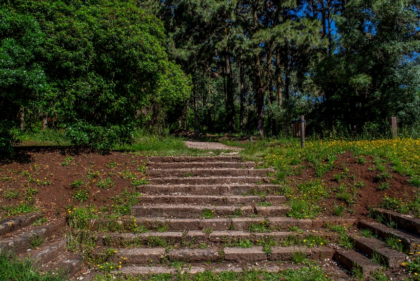 Forest Park Monsanto