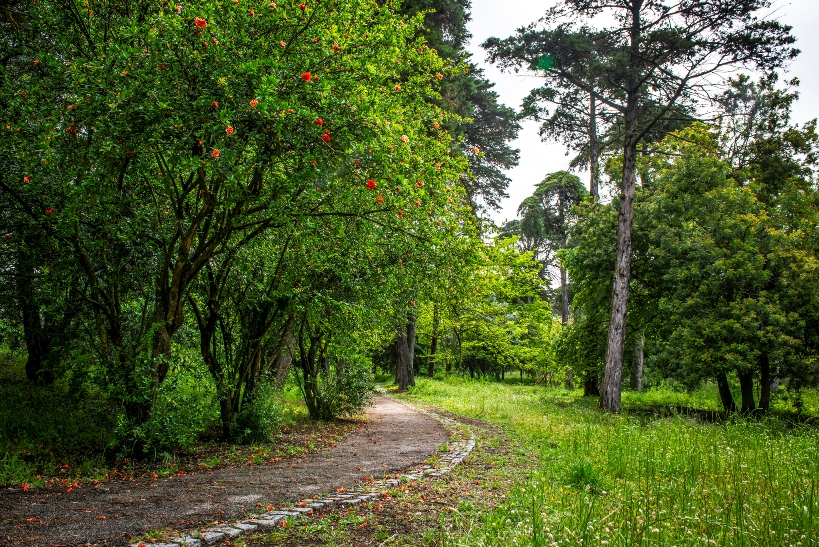 José Gomes Ferreira Park