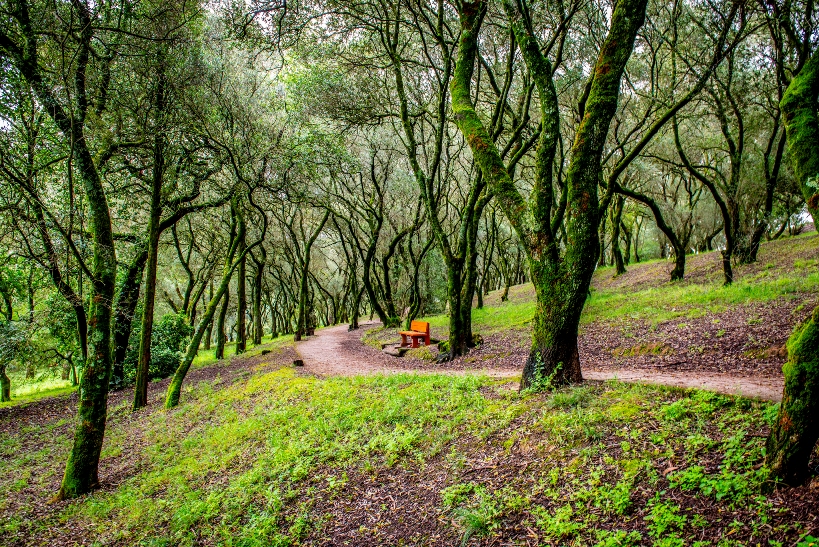 Parque José Gomes Ferreira