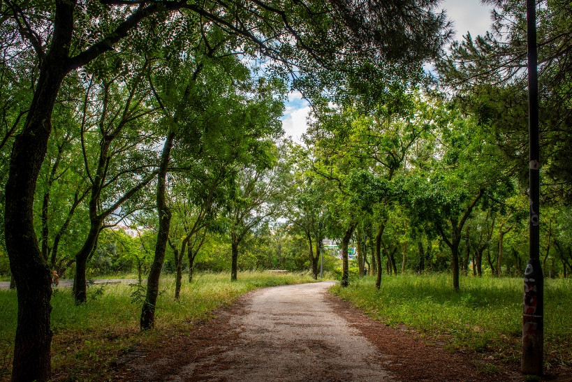 Vale Fundao Park