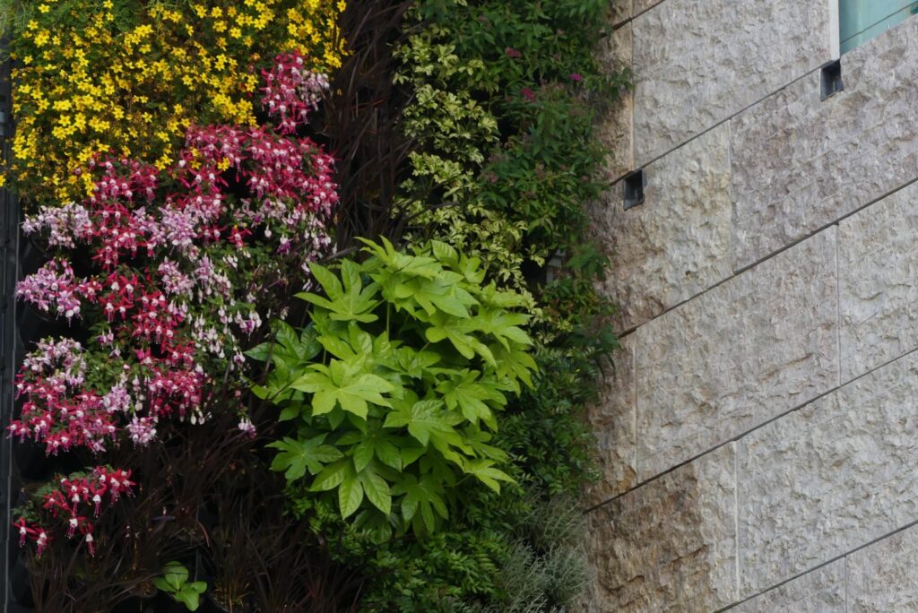 Regresso entre amigos