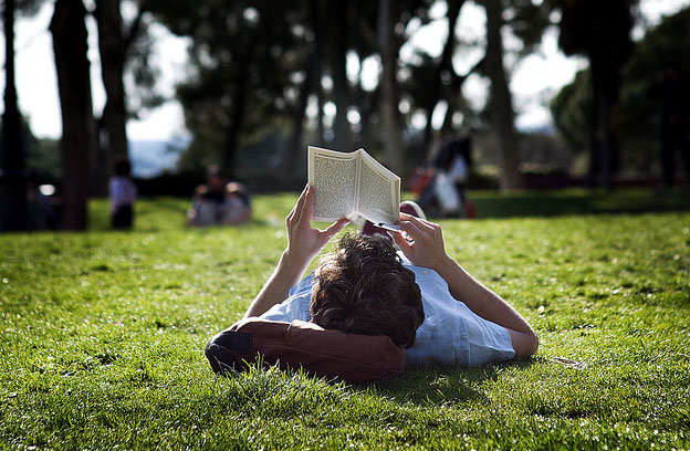 Os livros do verão