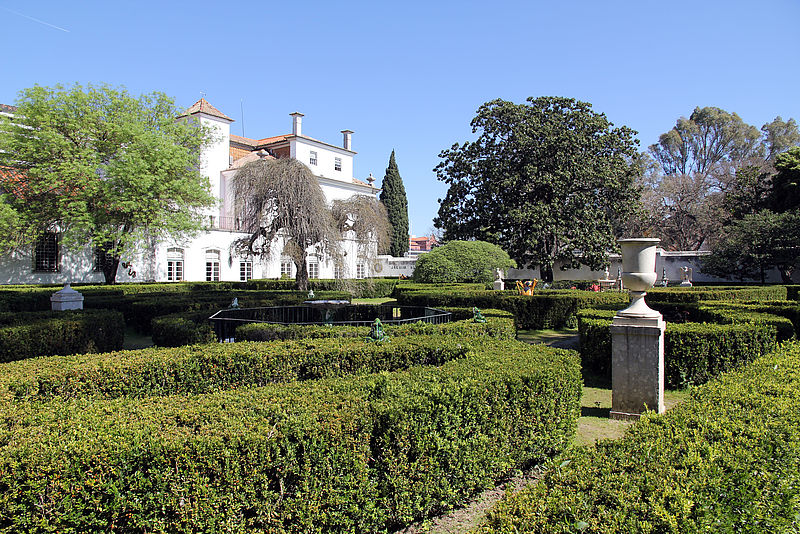 Tantos animais e plantas. Um jardim para mim.