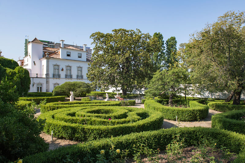 Piquenique no Palácio