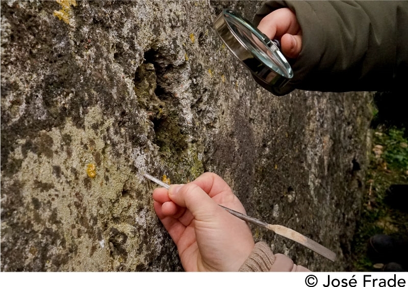 O que liga as pedras do castelo?