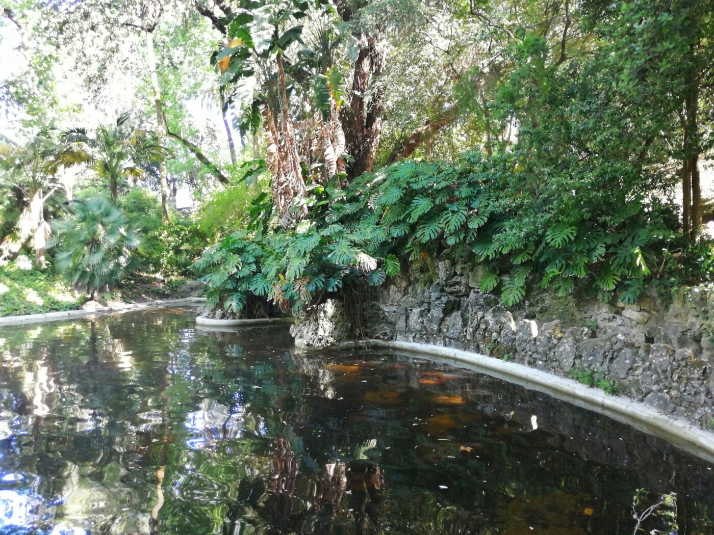 O Jardim Botânico de Lisboa à noite