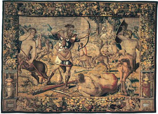 Fauna e Flora: outros olhares