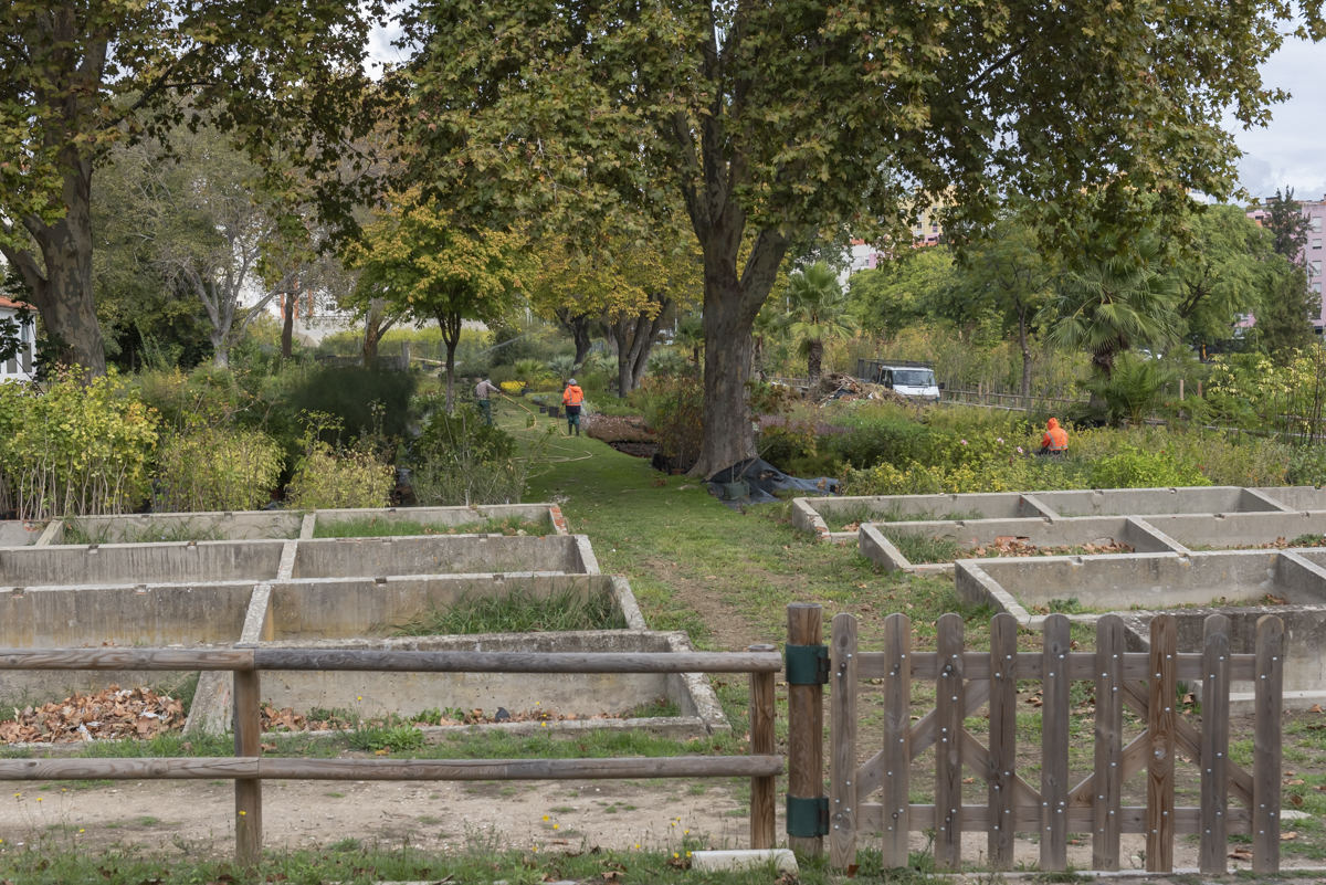 Parque Hortícola da Quinta Conde D’Arcos