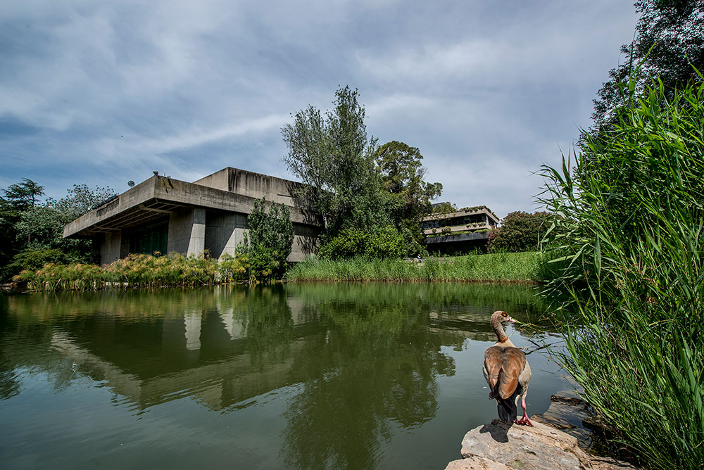 Jardim da Fundação Calouste Gulbenkian