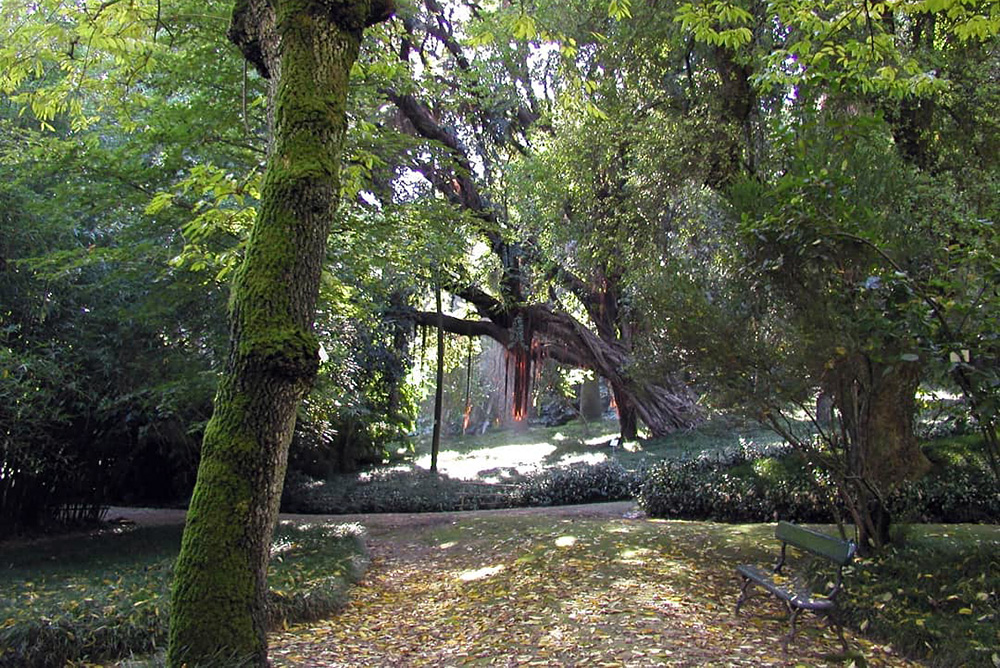 Lisbon Botanical Garden