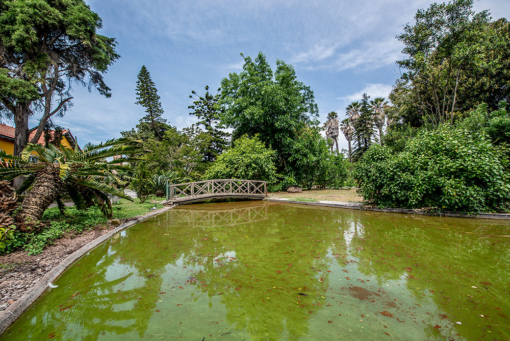 Jardim Botânico Tropical