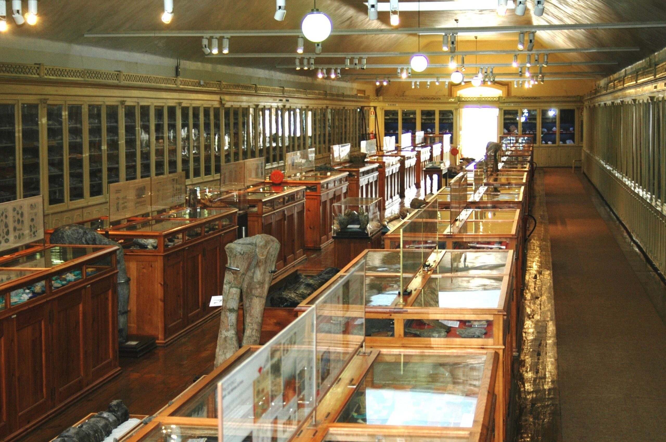 Museálogos