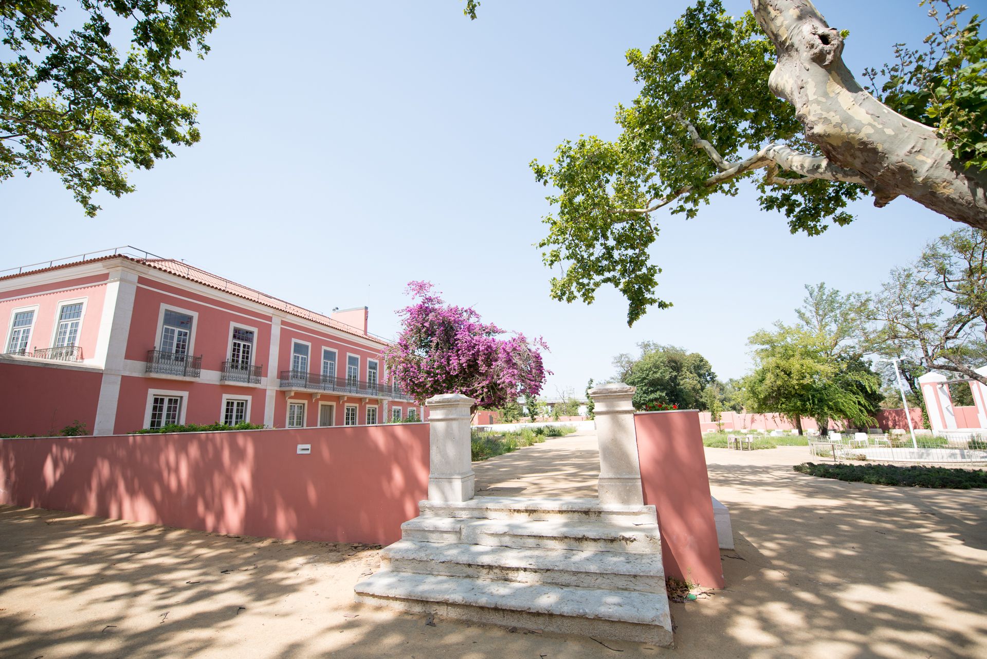 Visita à Quinta Alegre