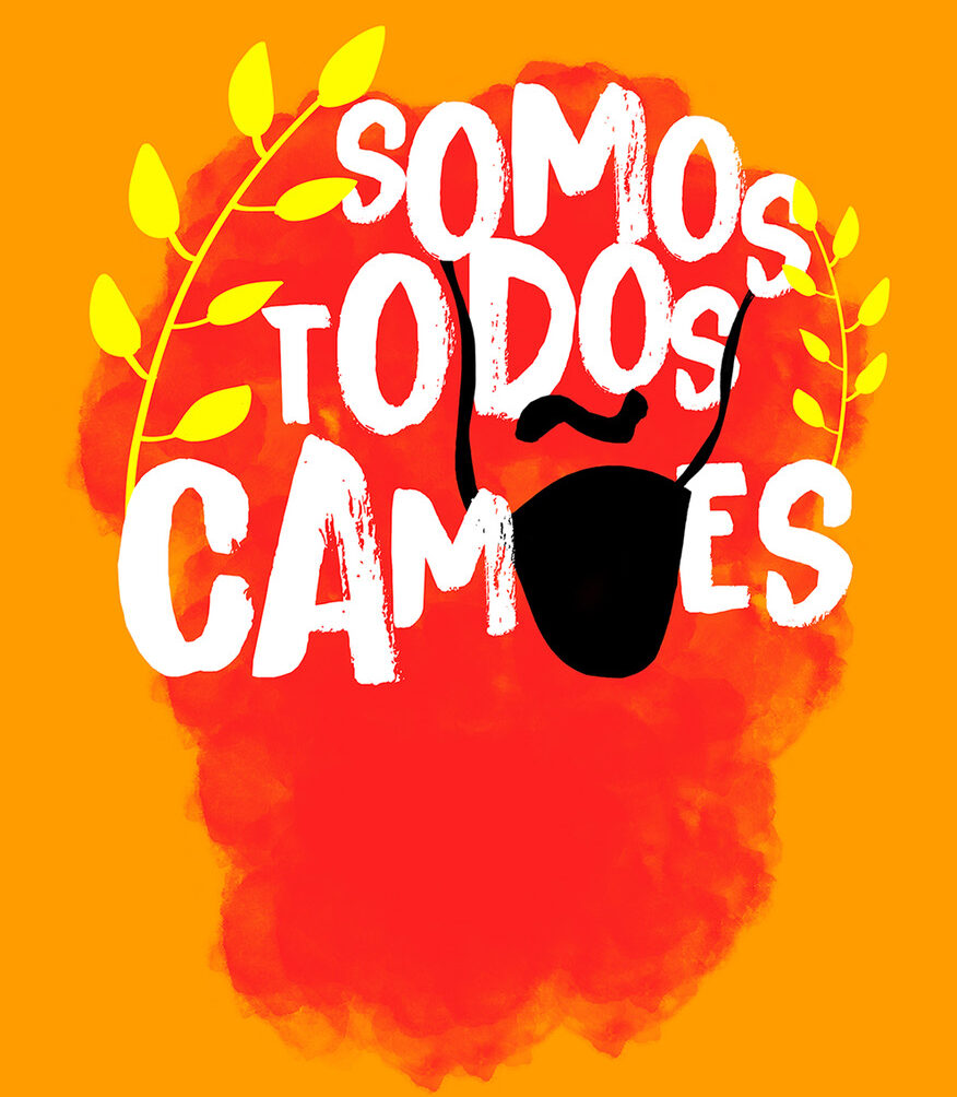 Somos todos Camões