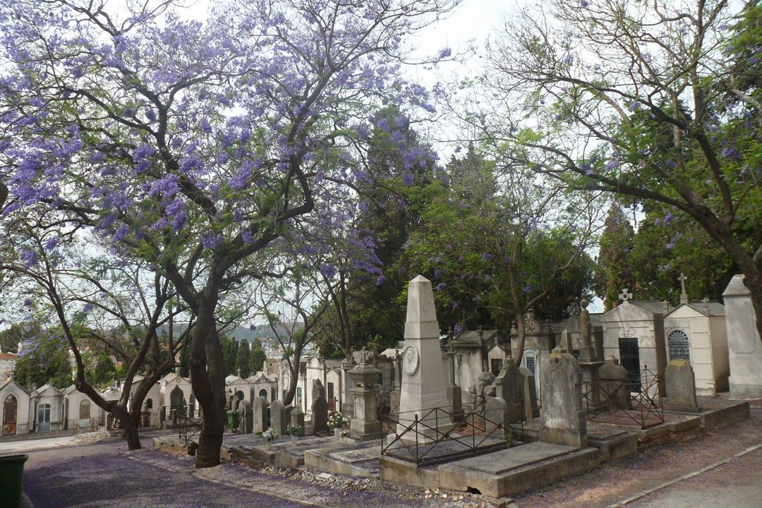 Visitas aos Cemitérios