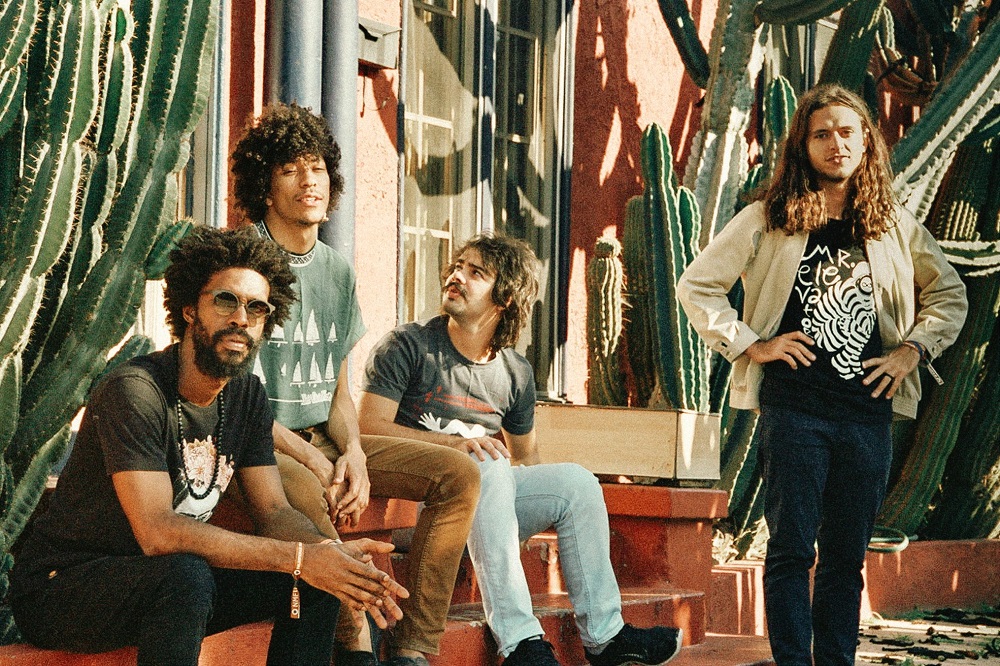 Boogarins