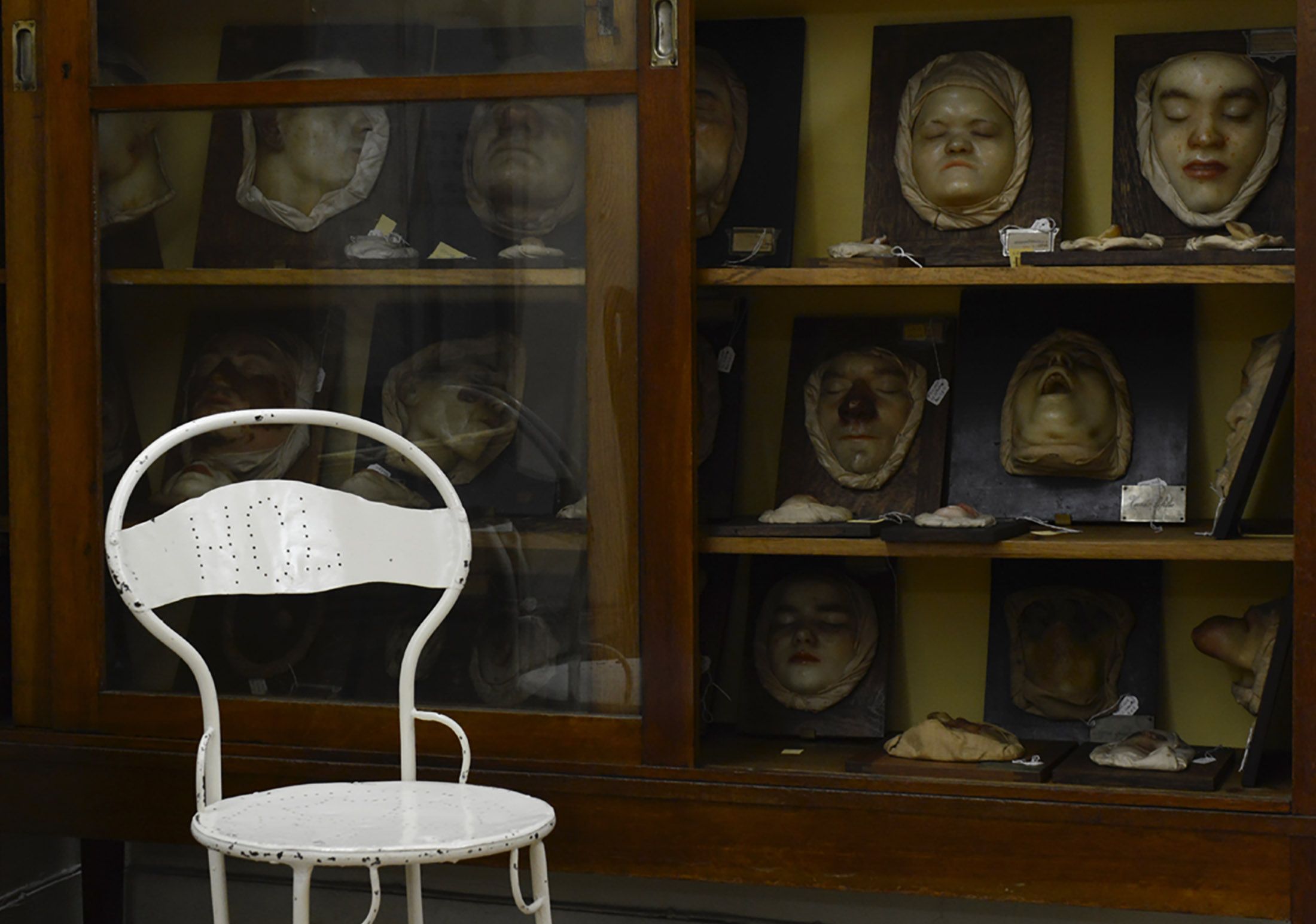 Museálogos