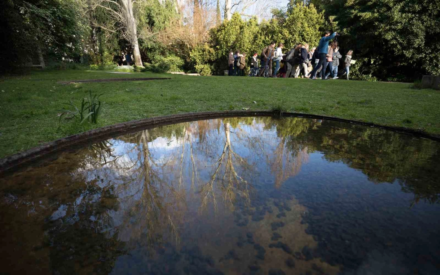 Jardins para anfíbios e libélulas