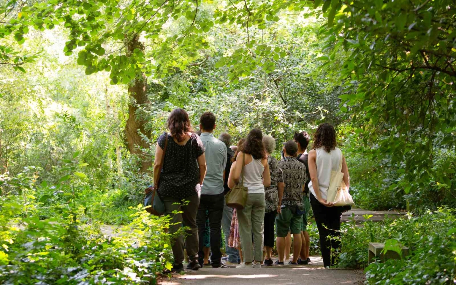 Jardins para pirilampos