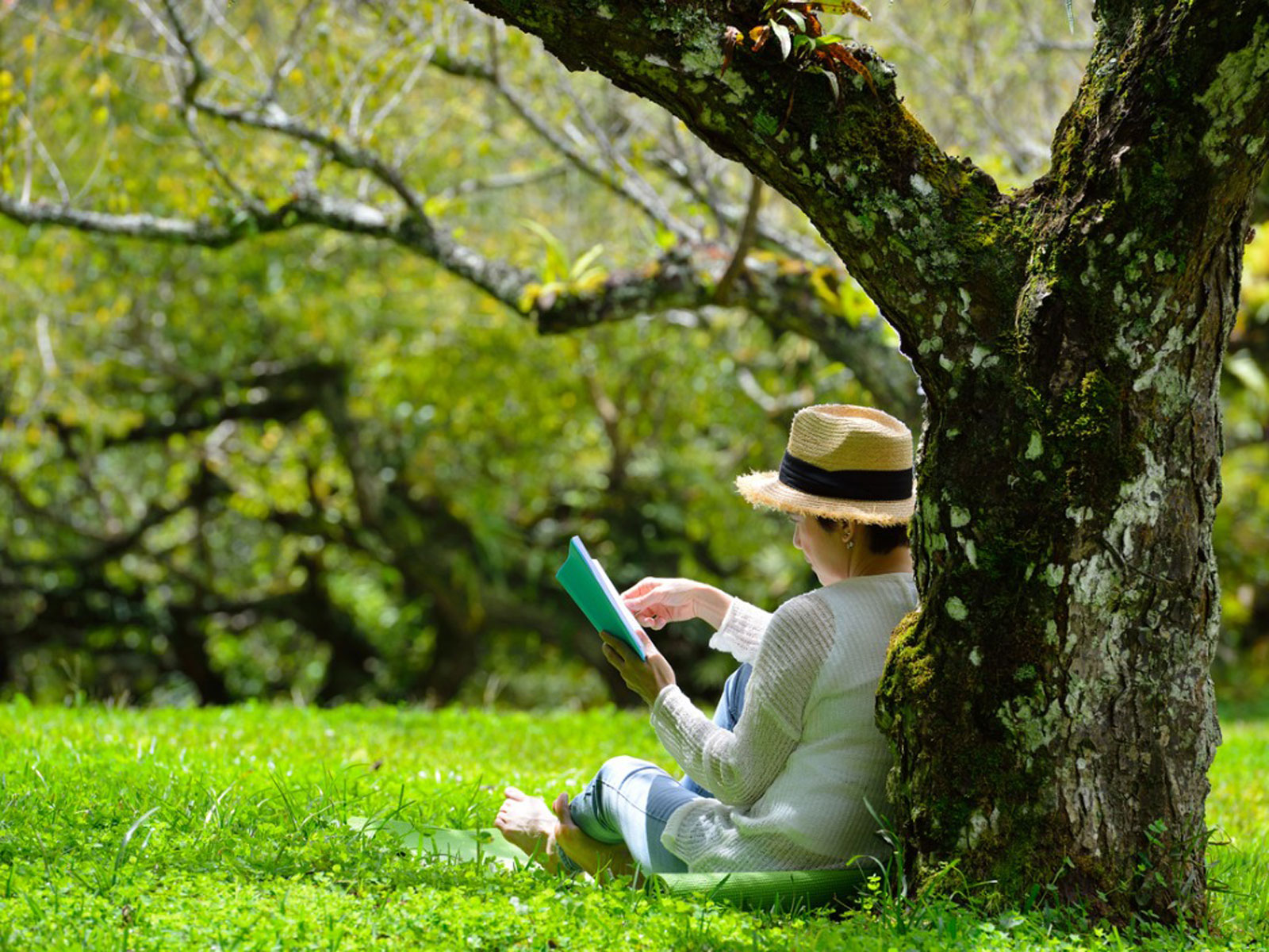 Os livros de junho