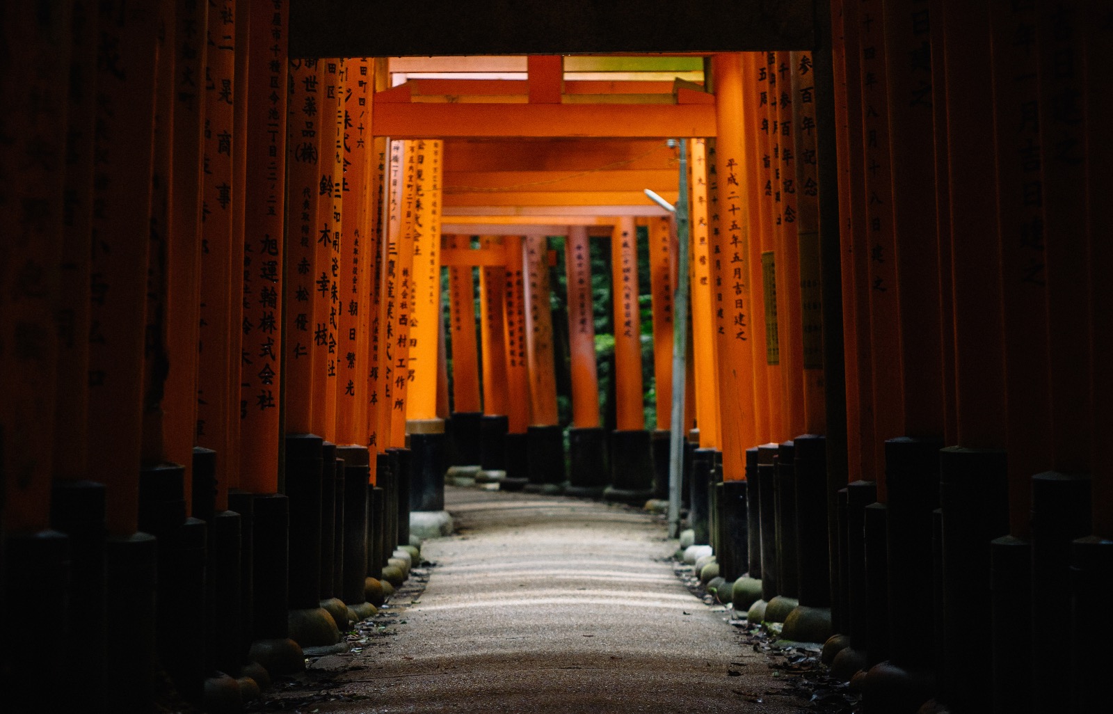 Journey to Japan