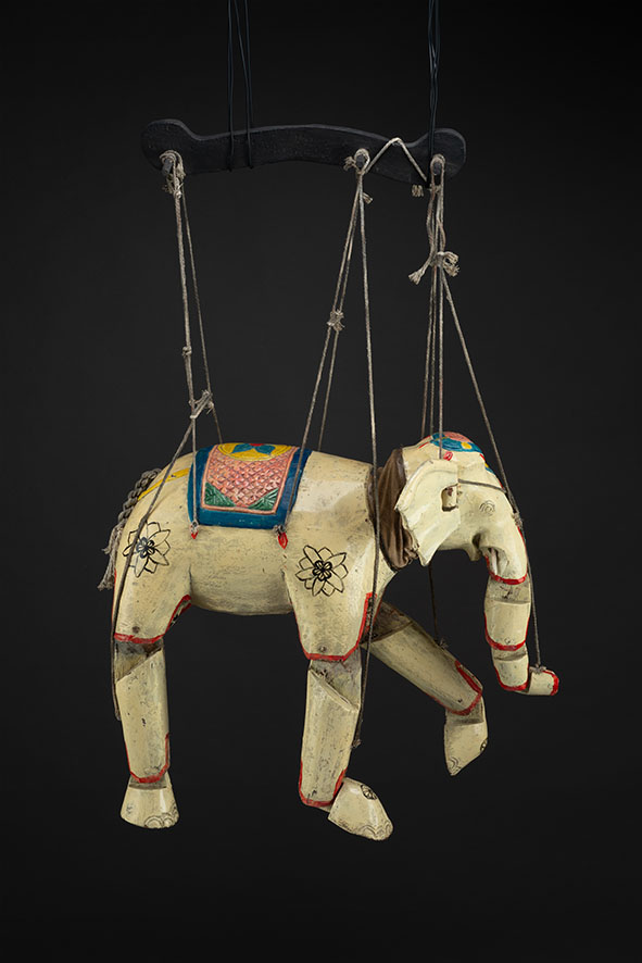 Elefante