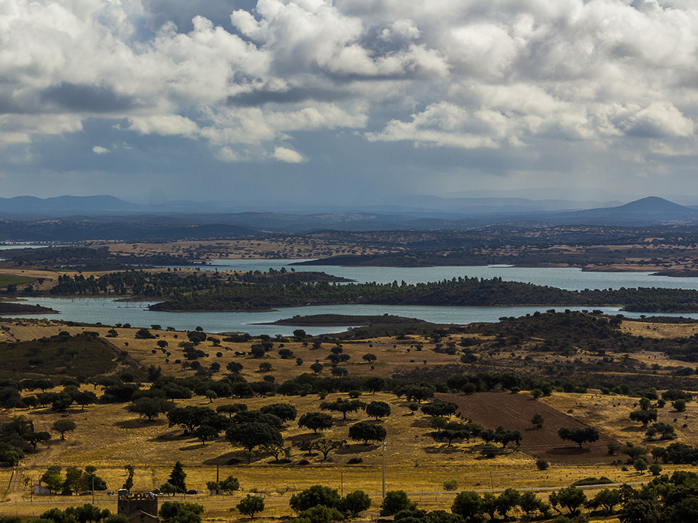 Tudo o resto é paisagem?