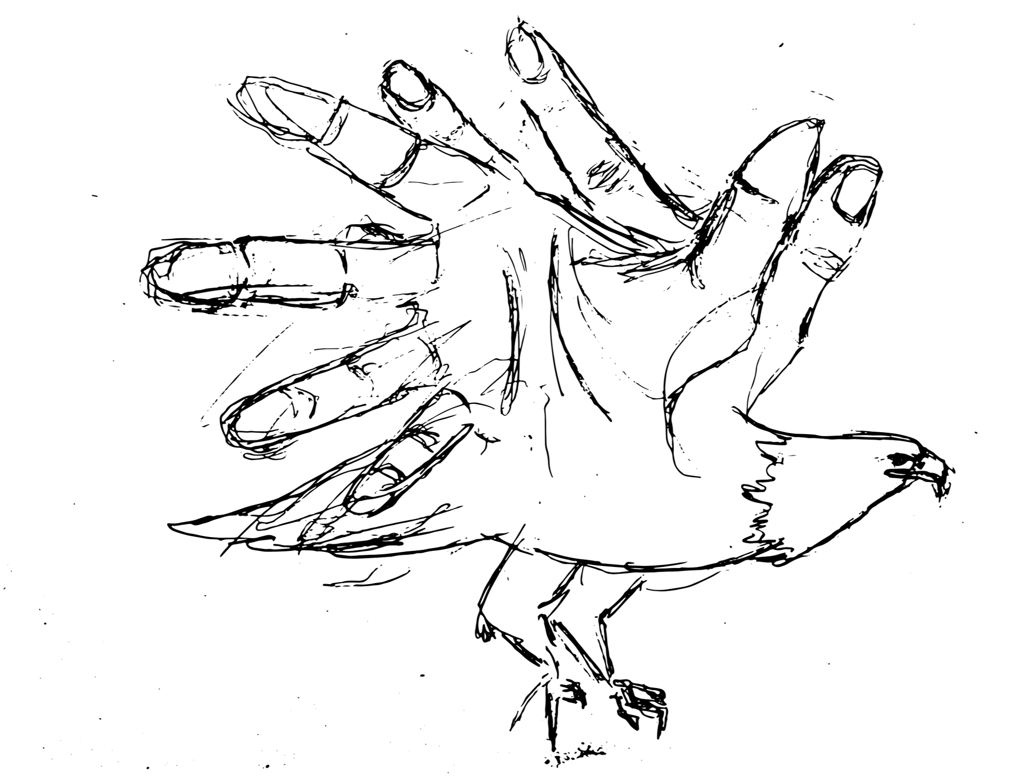 As Mãos das Águias