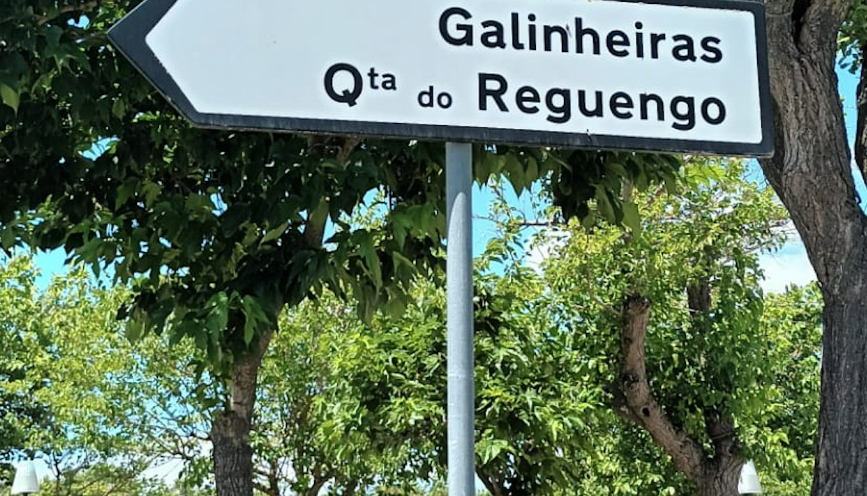 Por Aqui ou Por Ali – Corações Nas Galinheiras